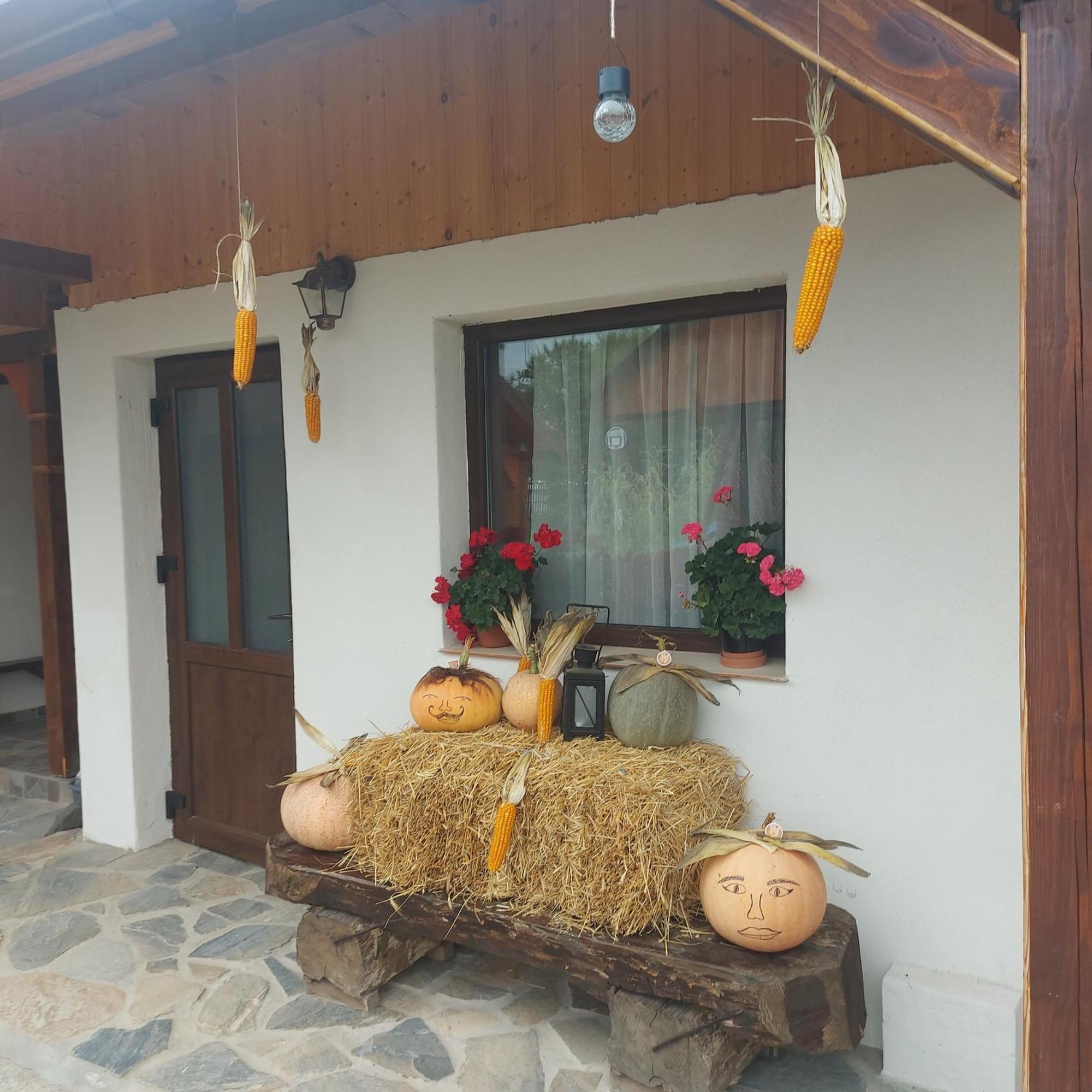 Cabana Lunca Târgu Neamț Eksteriør billede